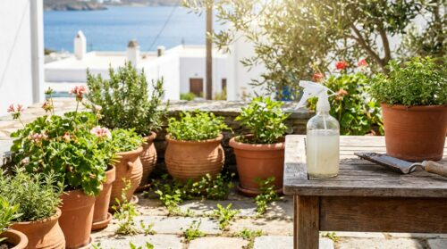 Βεράντα γεμάτη ζιζάνια; Αυτό το 100% φυσικό υγρό από την κουζίνα αντικατέστησε όλα τα ζιζανιοκτόνα μου