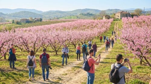 Από τη Γερμανία ως την Ελλάδα: Χιλιάδες επισκέπτες μαγεύονται από την ανθοφορία των ροδακινιών